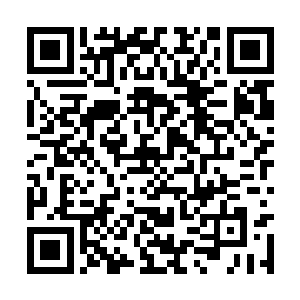 总能从对方的眼神里瞥出一丝一缕飘忽不定的愧疚二维码生成