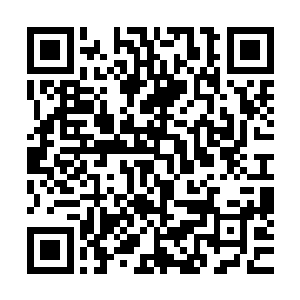 恶狠狠抓住了因为左躲右闪放慢了飞行速度的小马尸兄的翼膜二维码生成