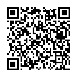 您将获得您的读者为您投出的八月份保底月票两张二维码生成