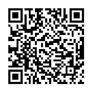 想必中国虎也不会真的为了一小撮海外的华人就与各国开战二维码生成