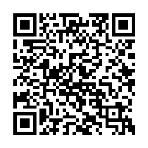 想必这二位宗主也觉得两位修神期修士不保准吧二维码生成