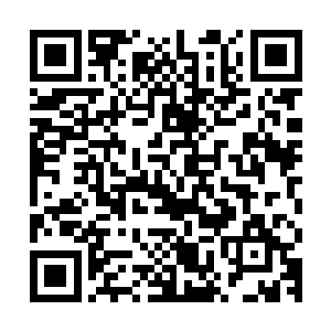 想起自己当初在潜龙堂的那一幕幕往事和张洪声他们打捞海蓝铁二维码生成