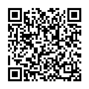 感知可以将身体和外界的一切完完整整的显示在脑域中二维码生成