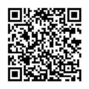 愣了一下后就明白她的意思的流墨墨和颜洛儿了然的看着二维码生成