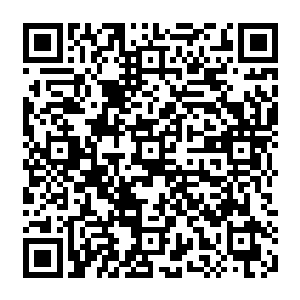 慢慢走近才发现这个洞里那股禅蛇特有的腥臭味道变淡的原因竟不是禅蛇离开的缘故二维码生成