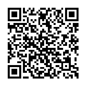 成为罗大伟那样仗着父亲官权就无法无天的人呢二维码生成