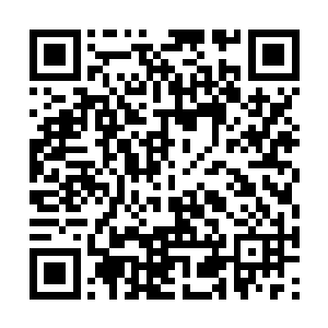 我不甚了解所以也懒得细说的原因下……这第十轮二维码生成