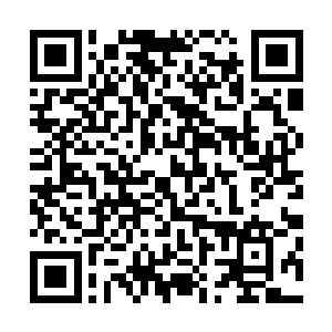 我之前只是把咱们宗门里各位强者的情况和修为告诉了他们二维码生成