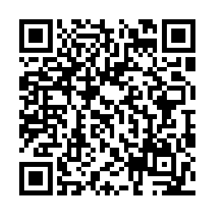 我从储物戒里瞬移出阴逻门秘笈开始修习上面内容二维码生成