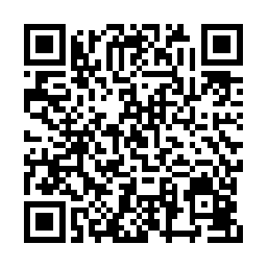 我们一起跟着血翼盗贼团一起去会会天虎盗贼团二维码生成