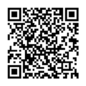 我们为什么不把许紫烟的真实实力告诉魔族那边二维码生成