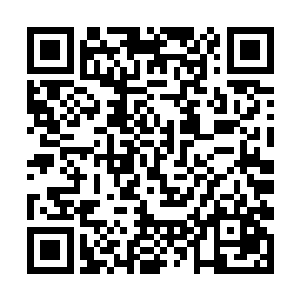 我们也拿出一件和你们天九符剑同等的宝物出来对注二维码生成