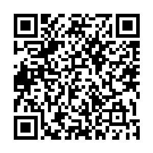 我们了解到的几个大单都会在闭幕前一两天才会正式签署二维码生成