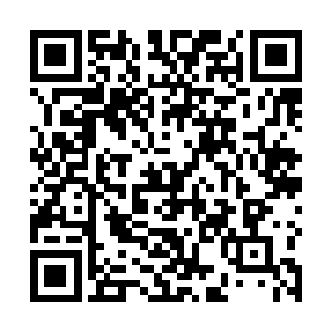 我们会派出一名和你章素离一样的悟道期的修士来斗法二维码生成