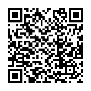 我们借鉴了大灾变之前人类早期的飞机的设计思路二维码生成