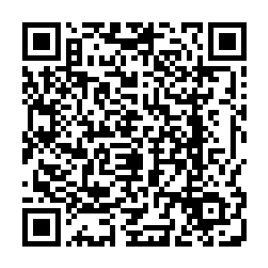 我们全场一千来号人就算全部加起来也不是你的对手――我没有绑架陆朝歌二维码生成