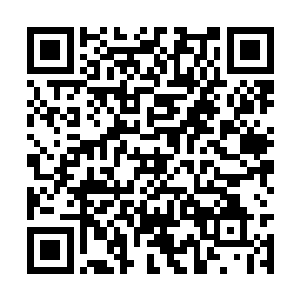 我们必须知道这王蕊到底修炼的是什么属性的暗术二维码生成