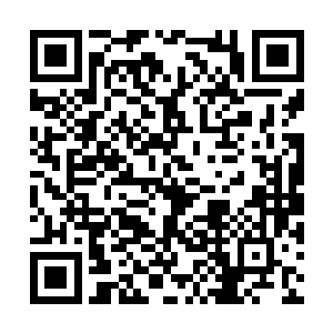 我们的医生在救治病人的过程中没有出现任何问题二维码生成