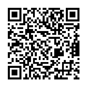 我们虽然设置了用踏板带动滑翔机跑起来的助理装置二维码生成