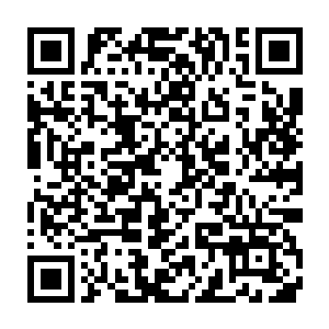我们许家的青年一代成长的一定要比南林城杨家和沧浪城周家要快二维码生成