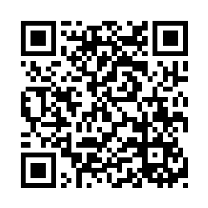 我们野田少爷与你们家族的查比尔已经没事了二维码生成