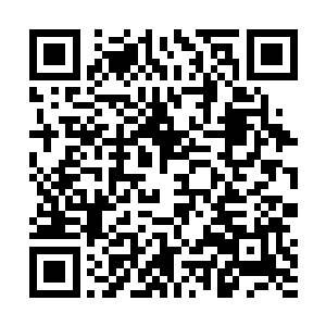 我伸手在包里抓了一把浸泡过了五彩鸡血和符水的糯米二维码生成