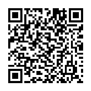 我再也不会说你是一个只会哭鼻子和学习的小女生了二维码生成