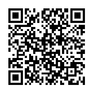 我到时候肯定会根据你们的能力来调整你们的位置的二维码生成