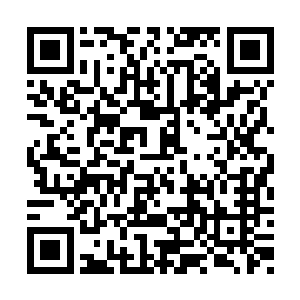 我动起来……就不会管你跟不跟得上节奏了……二维码生成