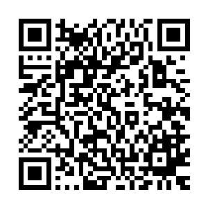 我即时用结界把我和澹台璃以及谢一鸣和王浩文纳入结界之中二维码生成