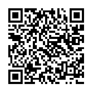 我发现水面上的确是有什么东西正在朝着我们这边划了过来二维码生成