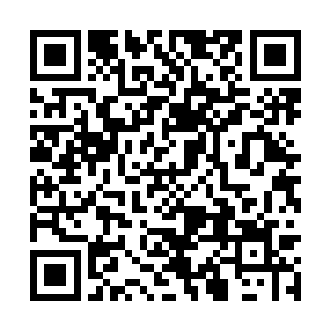 我和蒙赤心在仙族战舰内学习和修炼的第七十多年二维码生成