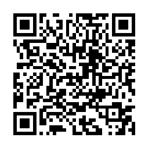 我如何判断一种动物是否和人族之间处于对抗状态二维码生成