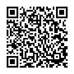 我定然会给妖族留下足够的资源和一片比现在大十倍的富饶之地二维码生成