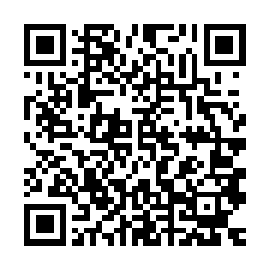 我家那条街终于被道路管理局批准成为爱多里商业街的一部分了二维码生成