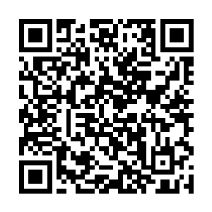 我就希望飞升修士在九域不会永远成为奴隶般的存在二维码生成