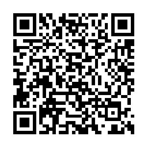 我就让荒域的妖兽干掉了他们在荒域内的所有人二维码生成