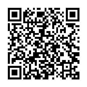 我已经从你那真诚的眼神中体会到了你那滔滔不绝的感激之情二维码生成