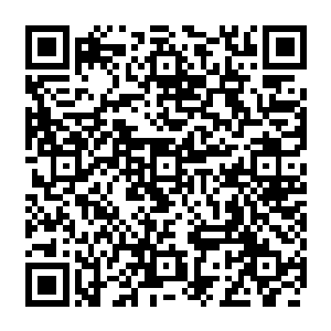 我很欢迎你随时回来找我报仇……如果到那个时候你还能有这个勇气回来找我的话二维码生成