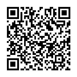 我把自己从上到下从内到外仔仔细细总结了几百遍二维码生成
