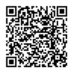 我没想到这老家伙用的死人粉还是那么久以前我们俩在乱葬岗搞回来的二维码生成