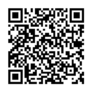 我现在任命周斌文为我办公室的主任也是我秘书二维码生成