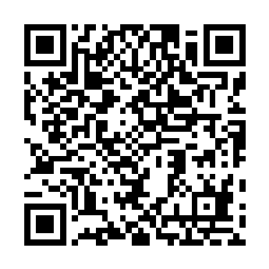 我现在只是一个普通的被老婆要赶到书房去睡的男人……二维码生成