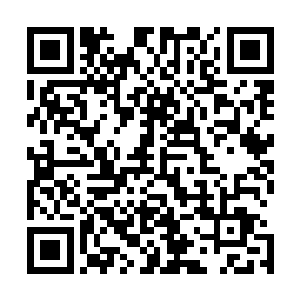 我现在比较在意的是王蕊的暗影军以及他给漫天州人下的毒二维码生成