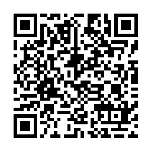 我现在用真气在你体内按照至尊大悲手的运转方法运转一遍二维码生成