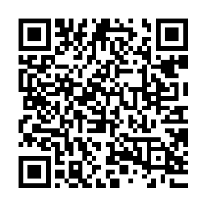 我现在算是体会到了牛有德那家伙在天街时那群商户得有多头疼二维码生成