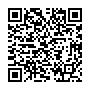 我的太乙火针不传之秘是不会传给你这种卑鄙无耻的小人的二维码生成
