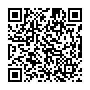 我的目标和你们不一致――我只想拿回属于自己的东西二维码生成