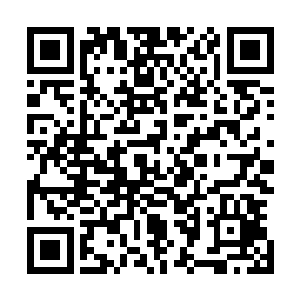 我的神识海仙血海对绿魔能量体的炼化也达到了最后的阶段二维码生成