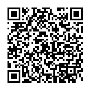 我相信我手上这一把在五彩鸡血和符水之中浸泡过的糯米会更带劲二维码生成